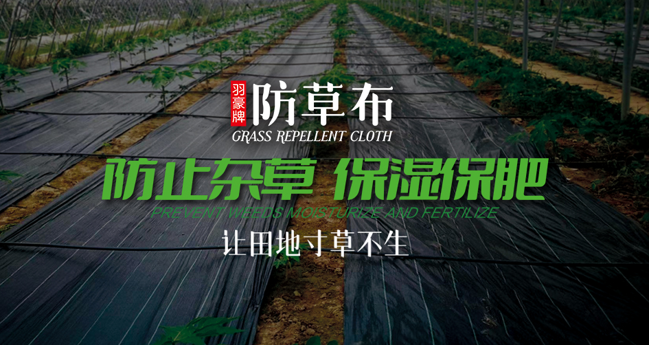 防草布有什么选择妙招