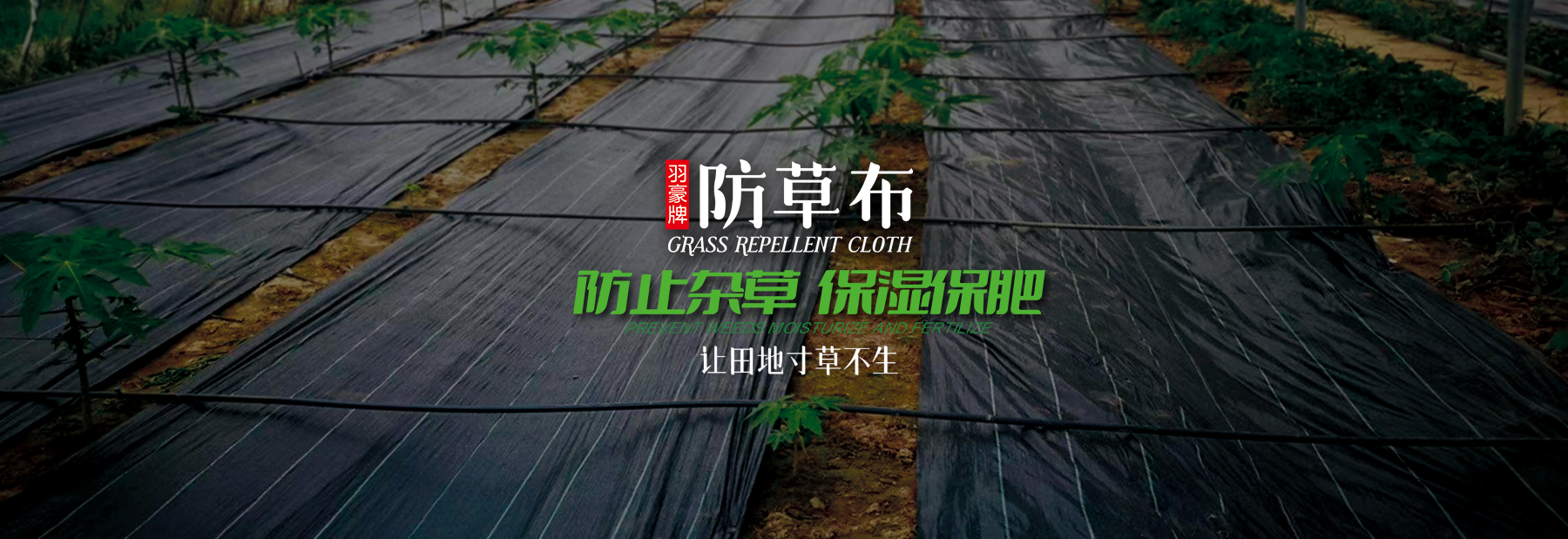 农用菜地果园果树防草布除草布抗老化透气遮草盖草布花卉大棚园艺黑地布厂家直销